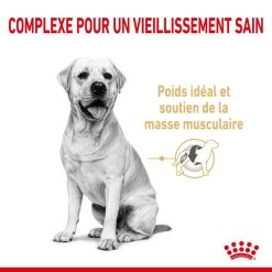 ROYAL CANIN Labrador Retriever Adult5+ 12kg -Royal Canin fre pl ROYAL CANIN Labrador Retriever Adult 5 12kg 12525 4