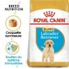 ROYAL CANIN Labrador Retriever Puppy 3kg -Royal Canin fre pl ROYAL CANIN Labrador Retriever Puppy 3kg 16063 1