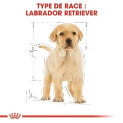 ROYAL CANIN Labrador Retriever Puppy 3kg X2 -Royal Canin fre pl ROYAL CANIN Labrador Retriever Puppy 3kg x2 30767 5