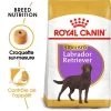 ROYAL CANIN Labrador Retriever Sterilised 12kg -Royal Canin fre pl ROYAL CANIN Labrador Retriever Sterilised 12kg 9273 1