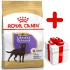 ROYAL CANIN Labrador Retriever Sterilised 12kg + Surprise Pour Votre Chien GRATUITES ! -Royal Canin fre pl ROYAL CANIN Labrador Retriever Sterilised 12kg surprise pour votre chien GRATUITES 17875 1