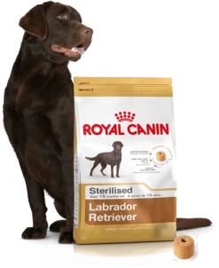 ROYAL CANIN Labrador Retriever Sterilised 12kg + Surprise Pour Votre Chien GRATUITES ! -Royal Canin fre pl ROYAL CANIN Labrador Retriever Sterilised 12kg surprise pour votre chien GRATUITES 17875 4