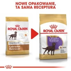 ROYAL CANIN Labrador Retriever Sterilised 12kg + Surprise Pour Votre Chien GRATUITES ! -Royal Canin fre pl ROYAL CANIN Labrador Retriever Sterilised 12kg surprise pour votre chien GRATUITES 17875 6