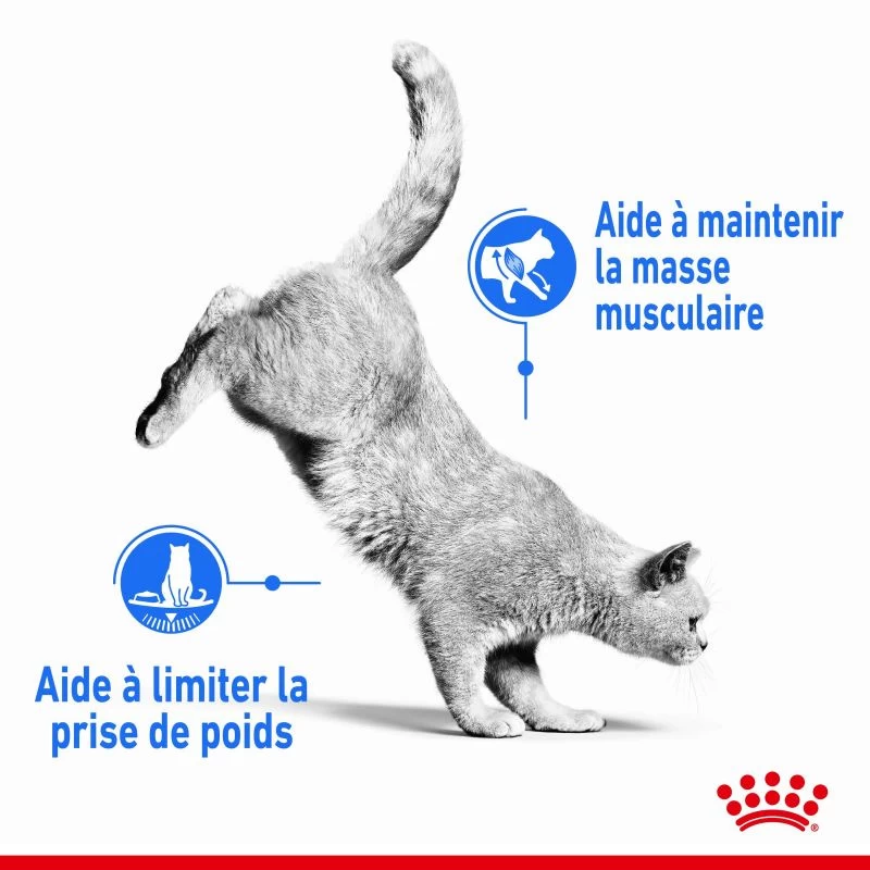 ROYAL CANIN Light Weight Care 8kg 5 ROYAL CANIN Light Weight Care 8kg – Image 3