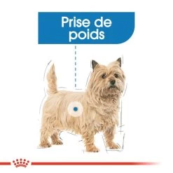ROYAL CANIN Light Weight Care Pâté 12x85g -Royal Canin fre pl ROYAL CANIN Light Weight Care Pate 12x85g 10096 4