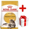 ROYAL CANIN Maine Coon Adult 10kg + Surprise Pour Votre Chat GRATUITES ! -Royal Canin fre pl ROYAL CANIN Maine Coon Adult 10kg surprise pour votre chat GRATUITES 17885 1