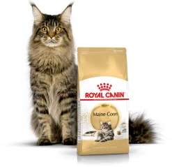 ROYAL CANIN Maine Coon Adult 10kg + Surprise Pour Votre Chat GRATUITES ! -Royal Canin fre pl ROYAL CANIN Maine Coon Adult 10kg surprise pour votre chat GRATUITES 17885 3