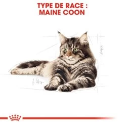 ROYAL CANIN Maine Coon Adult 2kg -Royal Canin fre pl ROYAL CANIN Maine Coon Adult 2kg 16069 3