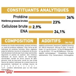 ROYAL CANIN Maine Coon Kitten 10kg -Royal Canin fre pl ROYAL CANIN Maine Coon Kitten 10kg 16072 6