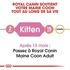 ROYAL CANIN Maine Coon Kitten 2kg -Royal Canin fre pl ROYAL CANIN Maine Coon Kitten 2kg 9612 2