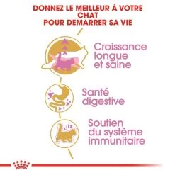 ROYAL CANIN Maine Coon Kitten 2kg -Royal Canin fre pl ROYAL CANIN Maine Coon Kitten 2kg 9612 3