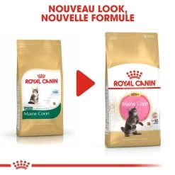 ROYAL CANIN Maine Coon Kitten 2kg