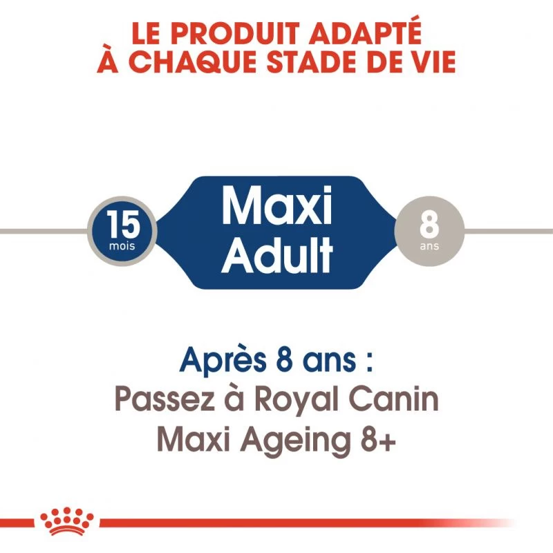 ROYAL CANIN Maxi Adult 10x140g 5 ROYAL CANIN Maxi Adult 10x140g – Image 3