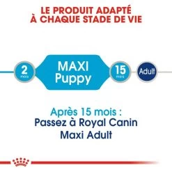 ROYAL CANIN Maxi Puppy 10x140g -Royal Canin fre pl ROYAL CANIN Maxi Puppy 10x140g 9822 4
