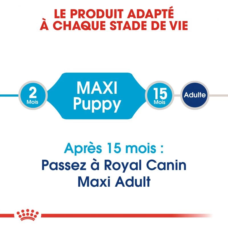 ROYAL CANIN Maxi Puppy 15kg 7 ROYAL CANIN Maxi Puppy 15kg – Image 5