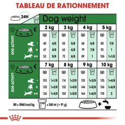 ROYAL CANIN Mini Adult 8kg + Surprise Gratuite Pour Votre Chien 12 ROYAL CANIN Mini Adult 8kg + Surprise Gratuite Pour Votre Chien -Royal Canin fre pl ROYAL CANIN Mini Adult 8kg Surprise gratuite pour votre chien 25258 3