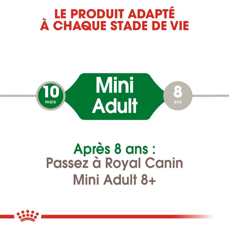 ROYAL CANIN Mini Adult 8kg + Surprise Gratuite Pour Votre Chien 4 ROYAL CANIN Mini Adult 8kg + Surprise Gratuite Pour Votre Chien – Image 2