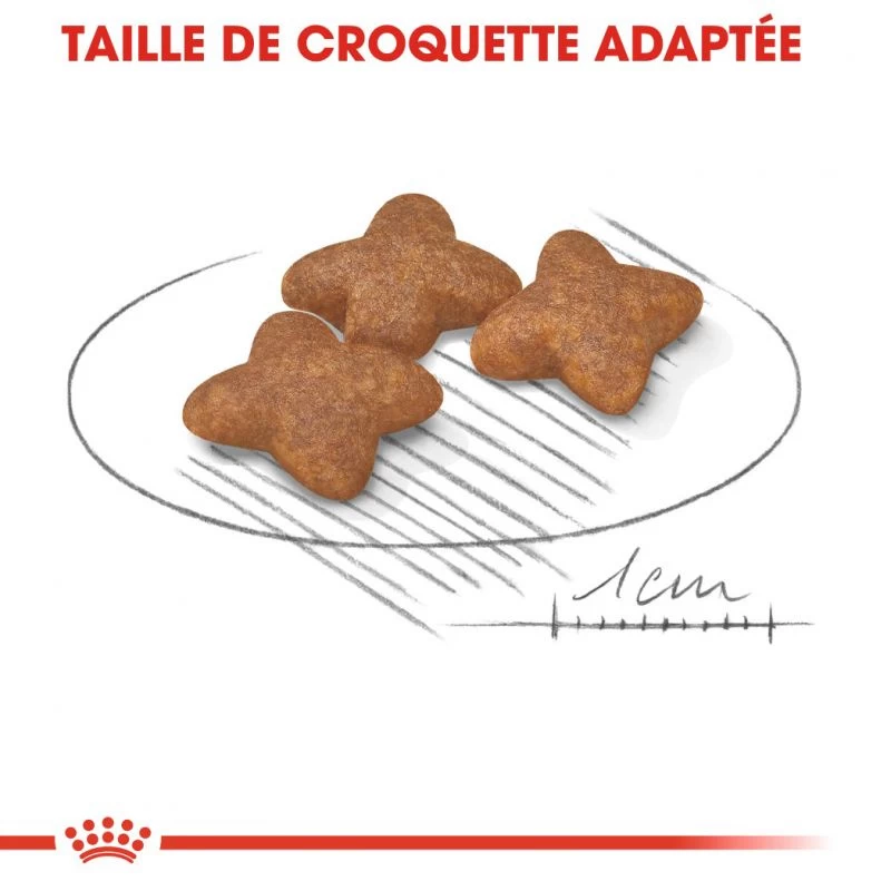 ROYAL CANIN Mini Adult 8kg + Surprise Gratuite Pour Votre Chien 5 ROYAL CANIN Mini Adult 8kg + Surprise Gratuite Pour Votre Chien – Image 3