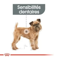 ROYAL CANIN Mini Dental Care 1kg X2 13 ROYAL CANIN Mini Dental Care 1kg X2 -Royal Canin fre pl ROYAL CANIN Mini Dental Care 1kg x2 30717 7