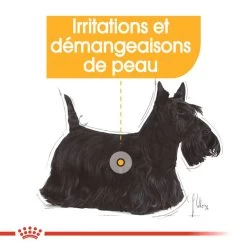 ROYAL CANIN Mini Dermacomfort 8kg 11 ROYAL CANIN Mini Dermacomfort 8kg -Royal Canin fre pl ROYAL CANIN Mini Dermacomfort 8kg 10081 5