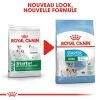 ROYAL CANIN Mini Starter 1kg X2 -Royal Canin fre pl ROYAL CANIN Mini Starter 1kg x2 30771 5