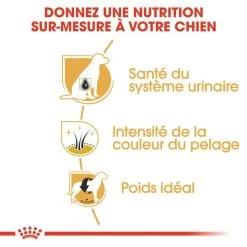 ROYAL CANIN Miniature Schnauzer Adult 3kg -Royal Canin fre pl ROYAL CANIN Miniature Schnauzer Adult 3kg 9366 3