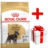 ROYAL CANIN Miniature Schnauzer Adult 7,5kg + Surprise Pour Votre Chien GRATUITES ! 1 ROYAL CANIN Miniature Schnauzer Adult 7,5kg + Surprise Pour Votre Chien GRATUITES ! -Royal Canin fre pl ROYAL CANIN Miniature Schnauzer Adult 7 5kg surprise pour votre chien GRATUITES 17877 1