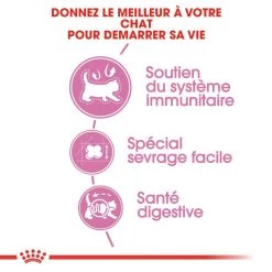 ROYAL CANIN Mother & Babycat 4kg -Royal Canin fre pl ROYAL CANIN Mother Babycat 4kg 15950 10