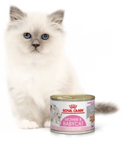 ROYAL CANIN Mother & Babycat Ultra Soft Mousse 195g X12 9 ROYAL CANIN Mother & Babycat Ultra Soft Mousse 195g X12 -Royal Canin fre pl ROYAL CANIN Mother Babycat Ultra Soft Mousse 195g 15342 1