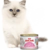 ROYAL CANIN Mother & Babycat Ultra Soft Mousse 195g X12 -Royal Canin fre pl ROYAL CANIN Mother Babycat Ultra Soft Mousse 195g x12 29994 1