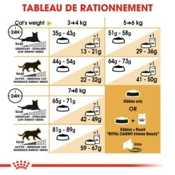 ROYAL CANIN Norwegian Forest Cat Adult 10kg -Royal Canin fre pl ROYAL CANIN Norwegian Forest Cat Adult 10kg 16942 4