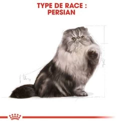 ROYAL CANIN Persian Adult 4kg -Royal Canin fre pl ROYAL CANIN Persian Adult 4kg 16107 6