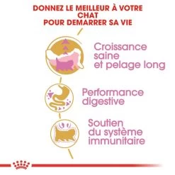 ROYAL CANIN Persian Kitten 10kg -Royal Canin fre pl ROYAL CANIN Persian Kitten 10kg 9345 3