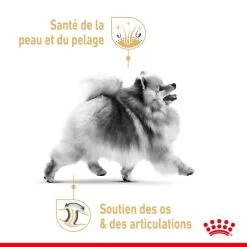ROYAL CANIN Pomeranian Adult 1,5kg X2 -Royal Canin fre pl ROYAL CANIN Pomeranian Adult 1 5kg x2 30742 3