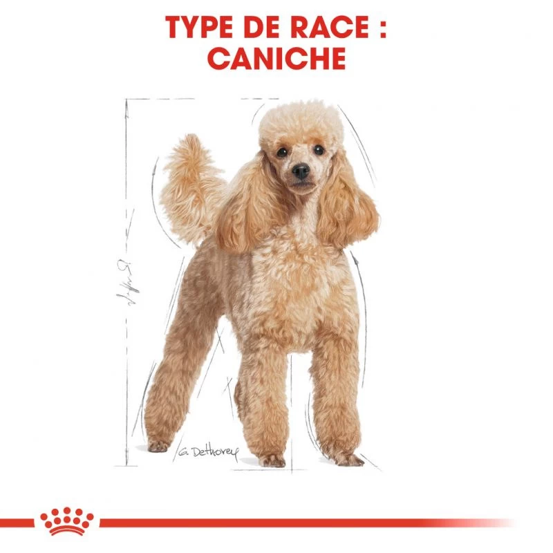 ROYAL CANIN Poodle Adult 1,5kg 4 ROYAL CANIN Poodle Adult 1,5kg – Image 2