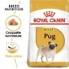 ROYAL CANIN Pug Adult 1,5kg 2 ROYAL CANIN Pug Adult 1,5kg -Royal Canin fre pl ROYAL CANIN Pug Adult 1 5kg 16110 1