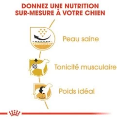 ROYAL CANIN Pug Adult 1,5kg -Royal Canin fre pl ROYAL CANIN Pug Adult 1 5kg 16110 4