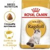 ROYAL CANIN Ragdoll Adult 10kg 2 ROYAL CANIN Ragdoll Adult 10kg -Royal Canin fre pl ROYAL CANIN Ragdoll Adult 10kg 16913 1