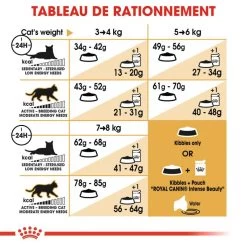 ROYAL CANIN Ragdoll Adult 2kg -Royal Canin fre pl ROYAL CANIN Ragdoll Adult 2kg 16912 5