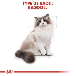 ROYAL CANIN Ragdoll Adult 2kg -Royal Canin fre pl ROYAL CANIN Ragdoll Adult 2kg 16912 6