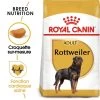 ROYAL CANIN Rottweiler Adult 12kg -Royal Canin fre pl ROYAL CANIN Rottweiler Adult 12kg 9456 1