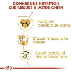 ROYAL CANIN Rottweiler Adult 12kg -Royal Canin fre pl ROYAL CANIN Rottweiler Adult 12kg 9456 4