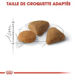 ROYAL CANIN Savour Exigent 10kg -Royal Canin fre pl ROYAL CANIN Savour Exigent 10kg 15988 4
