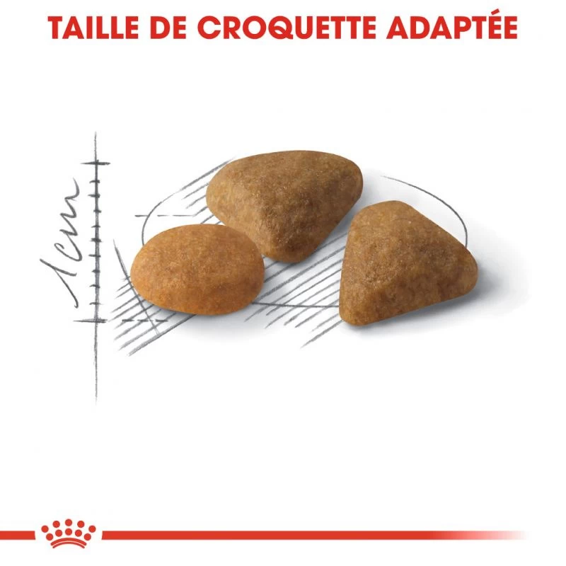 ROYAL CANIN Savour Exigent 2kg 6 ROYAL CANIN Savour Exigent 2kg – Image 4