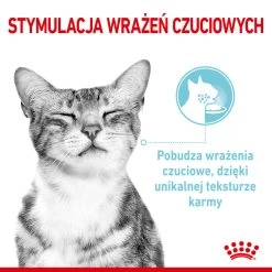 ROYAL CANIN Sensory Feel Aliments Humides, Morceaux En Sauce 12x85g -Royal Canin fre pl ROYAL CANIN Sensory Feel aliments humides morceaux en sauce 12x85g 25359 5