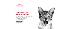 ROYAL CANIN Sensory Taste Nourriture Humide, Morceaux En Sauce 12x85g -Royal Canin fre pl ROYAL CANIN Sensory Taste nourriture humide morceaux en sauce 12x85g 25358 5