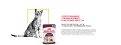 ROYAL CANIN Sensory Taste Nourriture Humide, Morceaux En Sauce 12x85g -Royal Canin fre pl ROYAL CANIN Sensory Taste nourriture humide morceaux en sauce 12x85g 25358 6