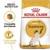 ROYAL CANIN Siamese Adult 2kg -Royal Canin fre pl ROYAL CANIN Siamese Adult 2kg 16135 1