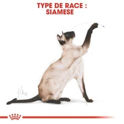 ROYAL CANIN Siamese Adult 400g -Royal Canin fre pl ROYAL CANIN Siamese Adult 400g 9498 3