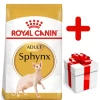 ROYAL CANIN Sphynx Adult 10kg + Surprise Pour Votre Chat GRATUITES ! -Royal Canin fre pl ROYAL CANIN Sphynx Adult 10kg surprise pour votre chat GRATUITES 17889 1